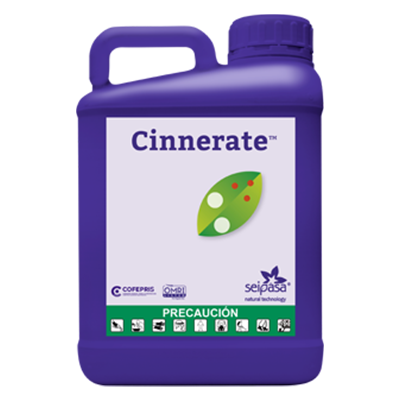 CINNERATE