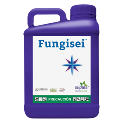 FUNGISEI