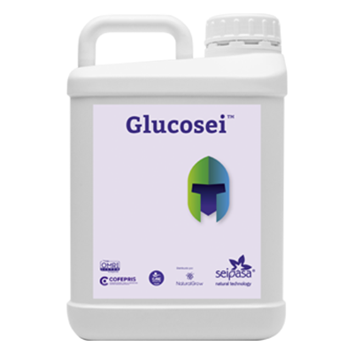 GLUCOSEI