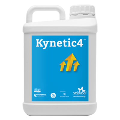 KYNETIC4