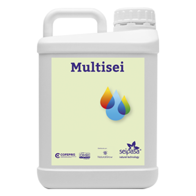 MULTISEI