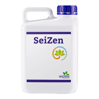 SEIZEN