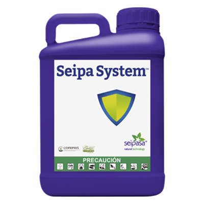 SEIPA SYSTEM