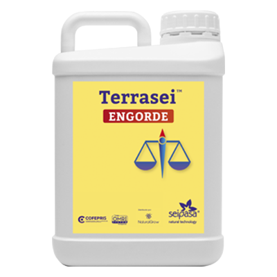 TERRASEI ENGORDE