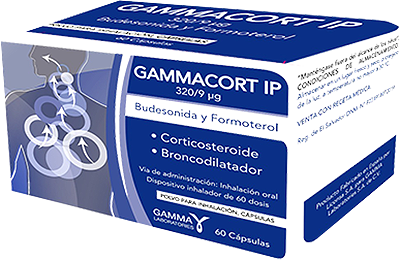 GAMMACORT IP POLVO PARA INHALACIÓN, CÁPSULAS Cápsulas con polvo para inhalar