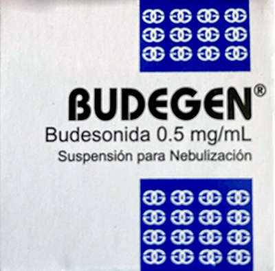 BUDEGEN Suspensión para nebulizar