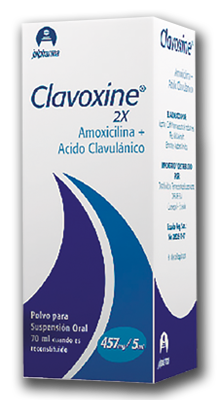 CLAVOXINE 2X Polvo para suspensión oral