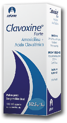 CLAVOXINE FORTE Polvo para suspensión oral