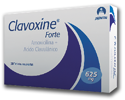 CLAVOXINE FORTE Tabletas