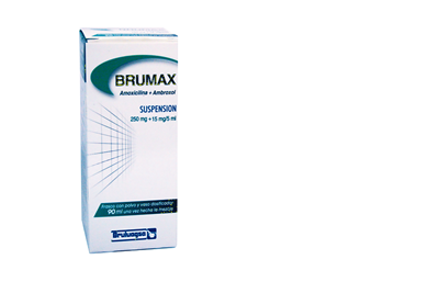 BRUMAX Suspensión