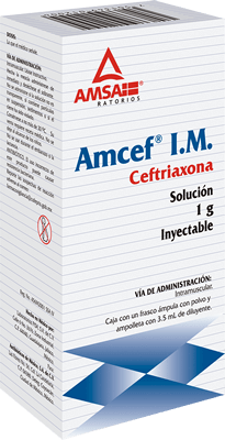 AMCEF Solución inyectable I.V.
