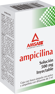 AMPICILINA - PLM