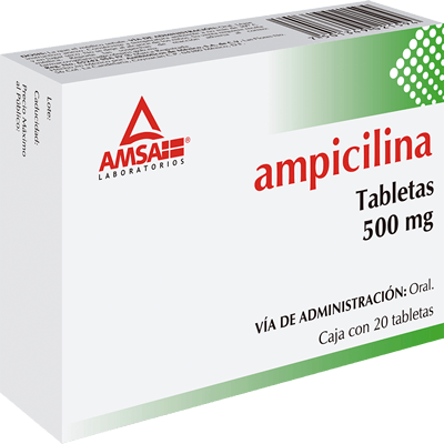 AMPICILINA - PLM