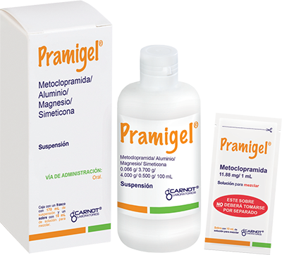 PRAMIGEL Suspensión