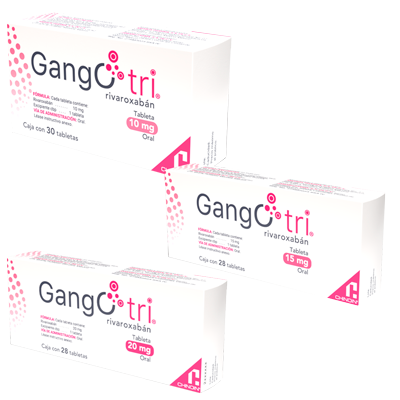 GANGOTRI Tableta