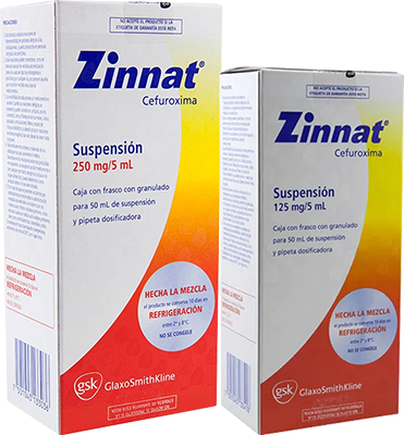 Zinnat 125 Patienteninformationen Beschreibung