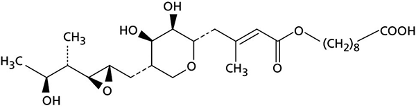 mupiricina s.JPG