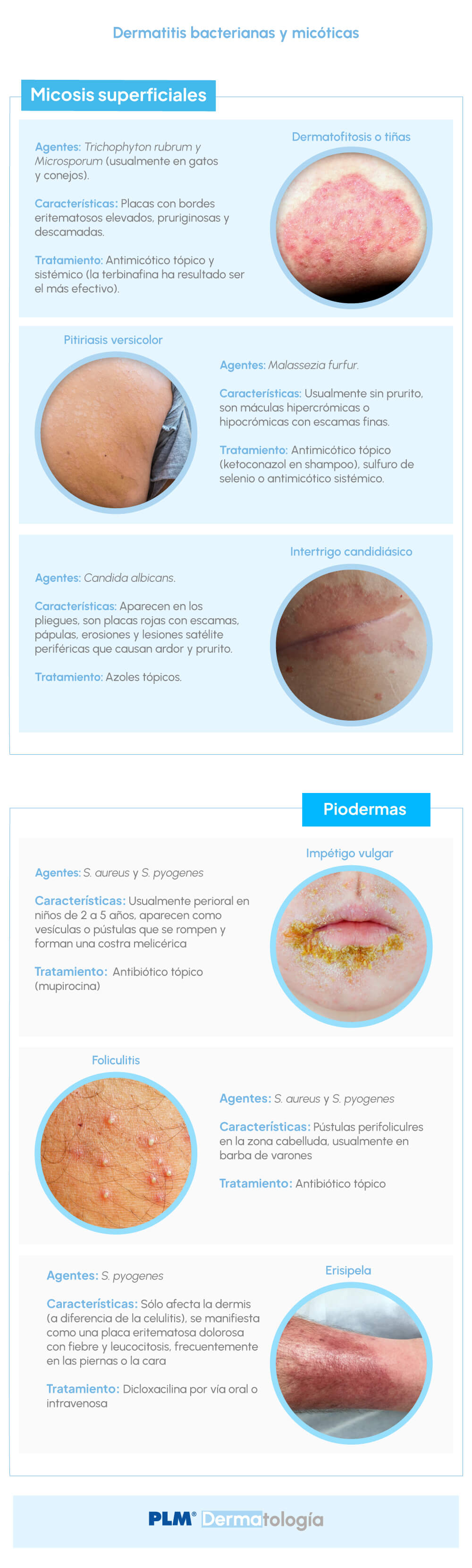 Dermatitis bacterianas y micóticas