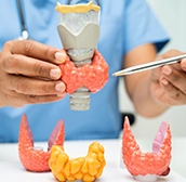 Comprensión de la tiroides: ¿qué pasa cuando falla y cómo reconocerlo?