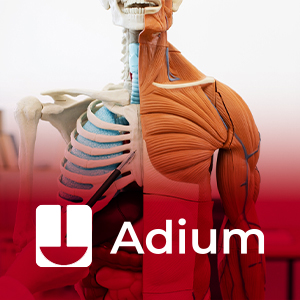 Síndrome metabólico y vitamina D en la mujer