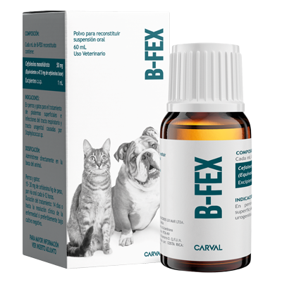 B-FEX Suspensión oral