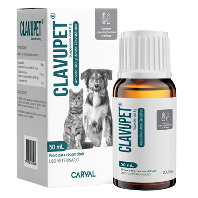 CLAVUPET Suspensión oral