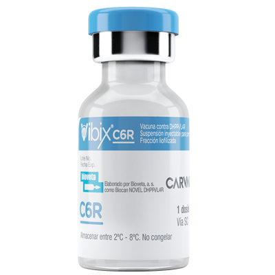 VIBIX C6R Suspensión inyectable