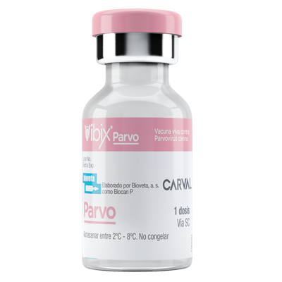 VIBIX PARVO Suspensión inyectable