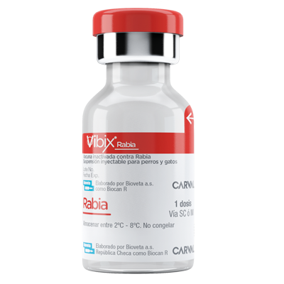 VIBIX RABIA Suspensión inyectable