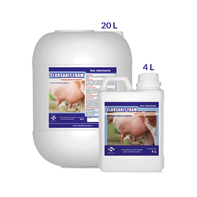 CLORSANIT FOAM Solución 