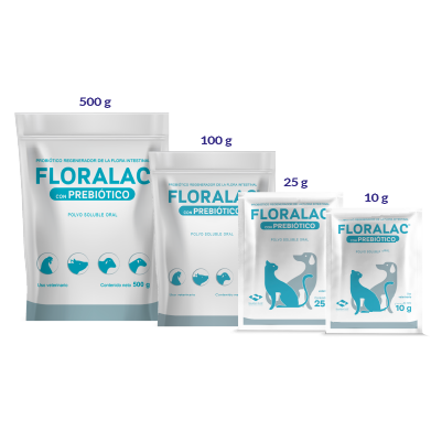 FLORALAC CON PREBIÓTICO Polvo soluble oral