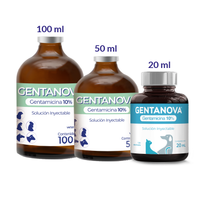 GENTANOVA GENTAMICINA 10% Solución inyectable