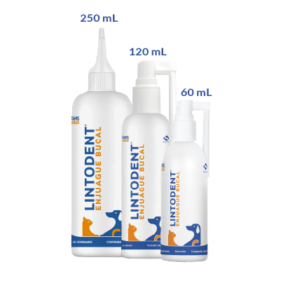 LINTODENT ENJUAGUE BUCAL Spray 