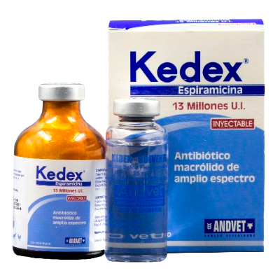 KEDEX Polvo para reconstituir