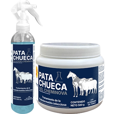 PATA CHUECA CHEMINOVA Solución